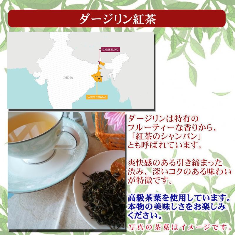 紅茶 ダージリン 茶缶付 ファッションデザイナー セカンドフラッシュ 茶葉 リーフ 50g