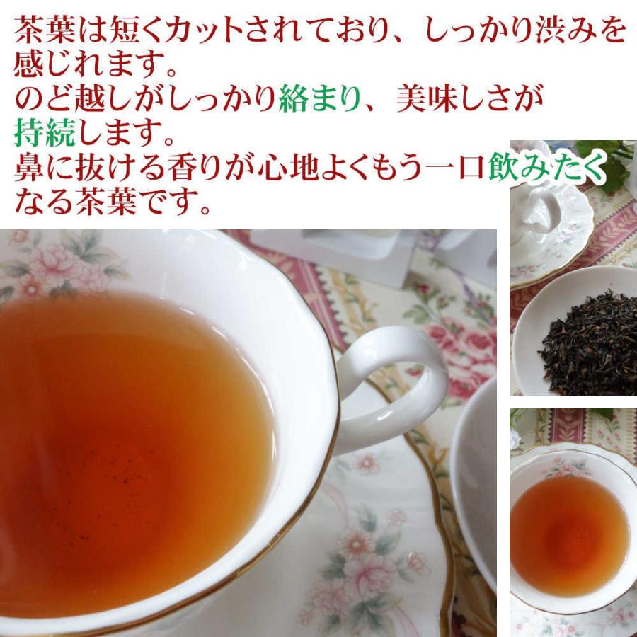 699円 最大74％オフ！ 紅茶 ダージリン 茶缶付 セカンドフラッシュ 50g 茶葉 リーフ