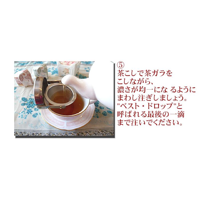 紅茶 ダージリン アリヤ茶園 オータム FTGFOP 1 CH ORGANIC DJ126/2022 50g 茶葉 リーフ｜teachaichai｜12