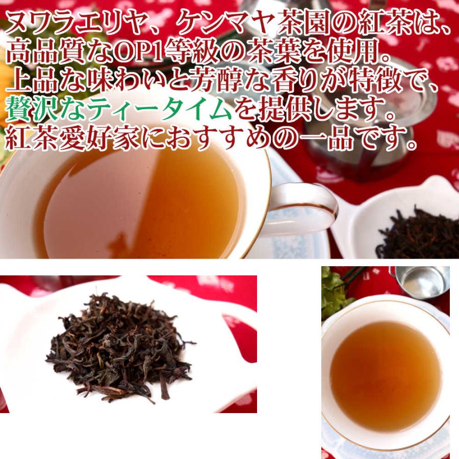 紅茶 ティーバッグ 20個 ヌワラエリヤ ケンマヤ茶園 OP1/2023 50g 茶葉 リーフ｜teachaichai｜06