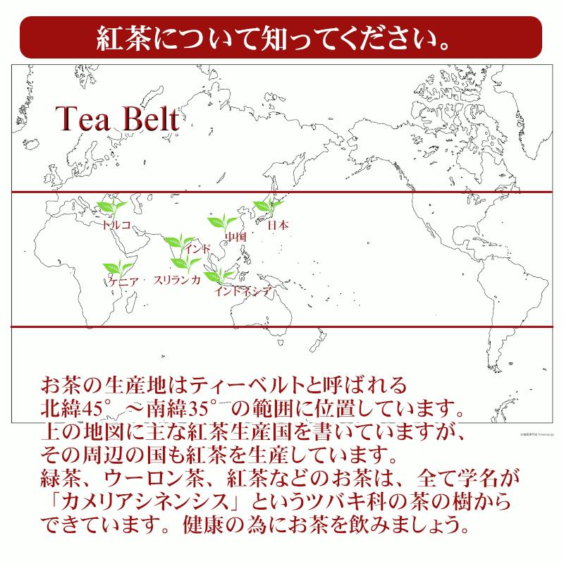 紅茶 ティーバッグ 40個 ウバ アイスラビー茶園 BOP1/2023 50g 茶葉 リーフ｜teachaichai｜13