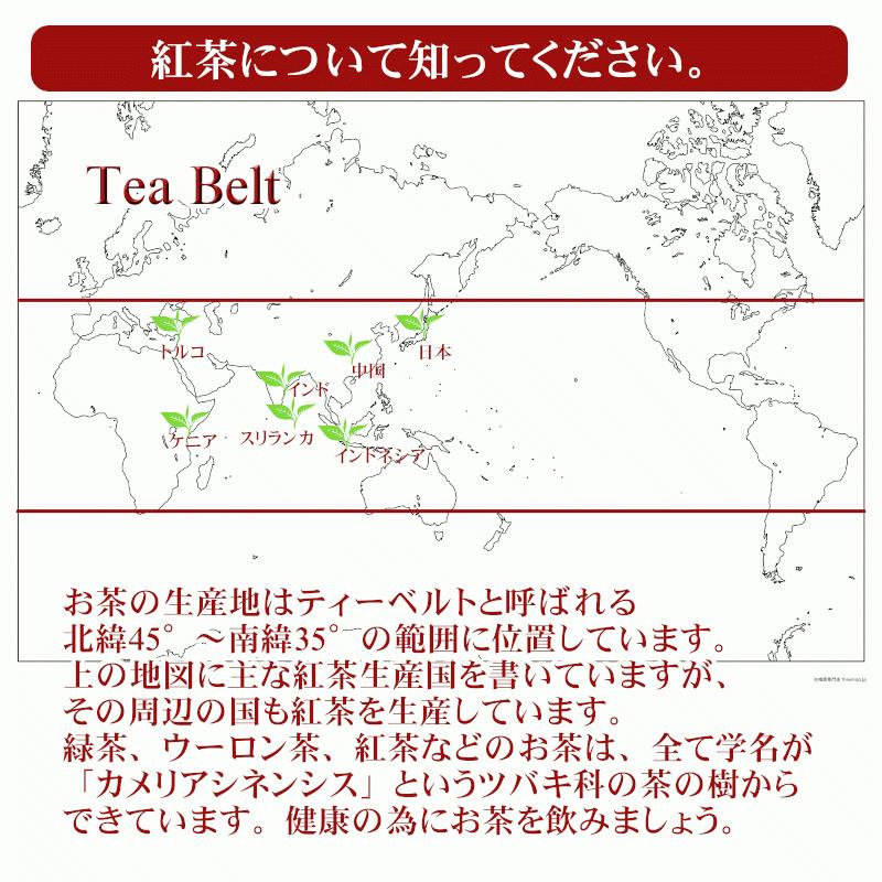 紅茶 茶葉 ウバ シャウランズ茶園 BOP1/2022 50g 茶葉 リーフ｜teachaichai｜13