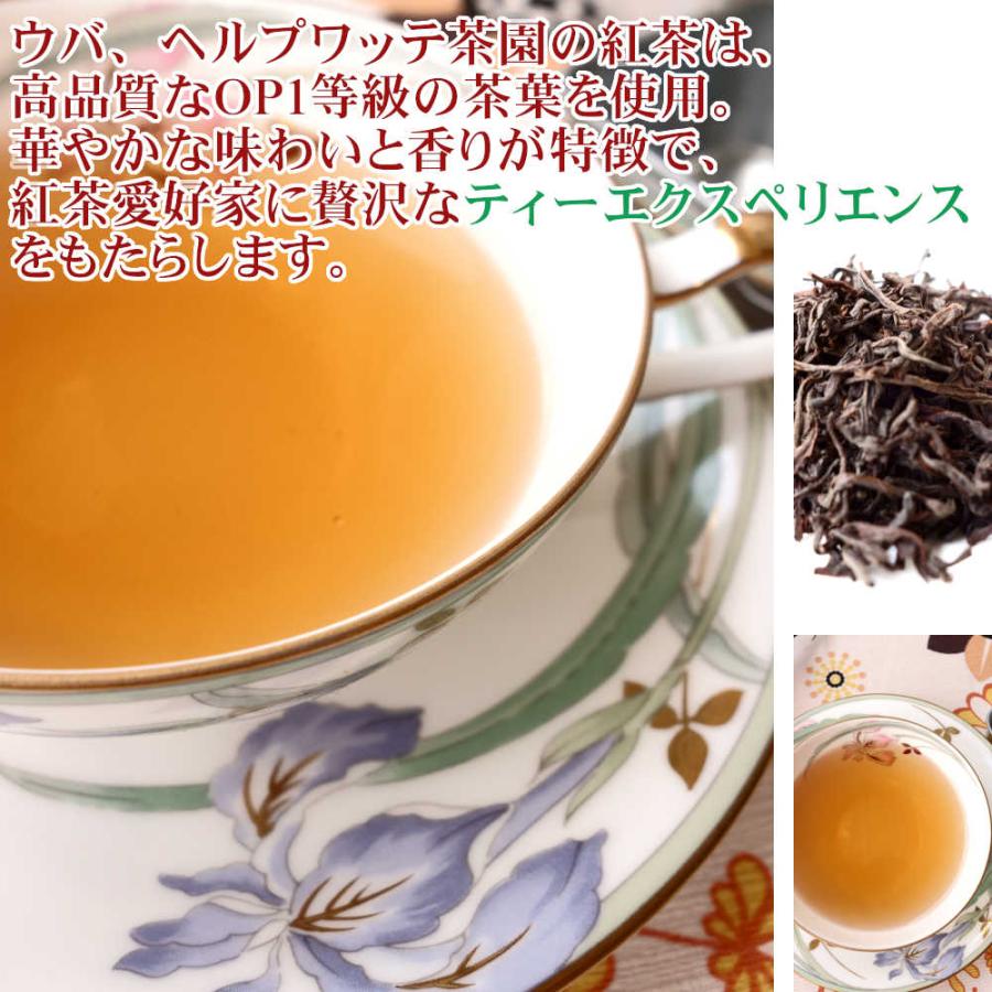 紅茶 ティーバッグ 20個 ウバ ヘルプワッテ茶園 OP1/2023 50g 茶葉 リーフ｜teachaichai｜06
