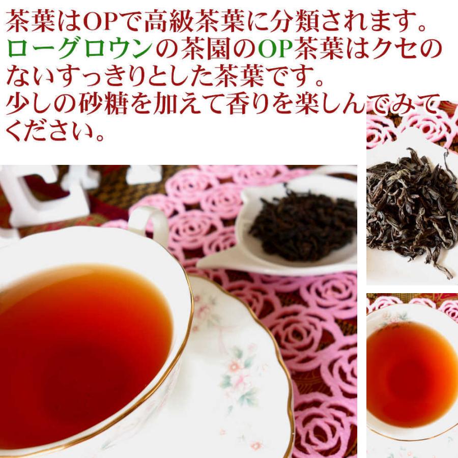 紅茶 ティーバッグ 20個 ルフナ ゴールデンガーデン茶園 OP/2022 茶葉 リーフ｜teachaichai｜06