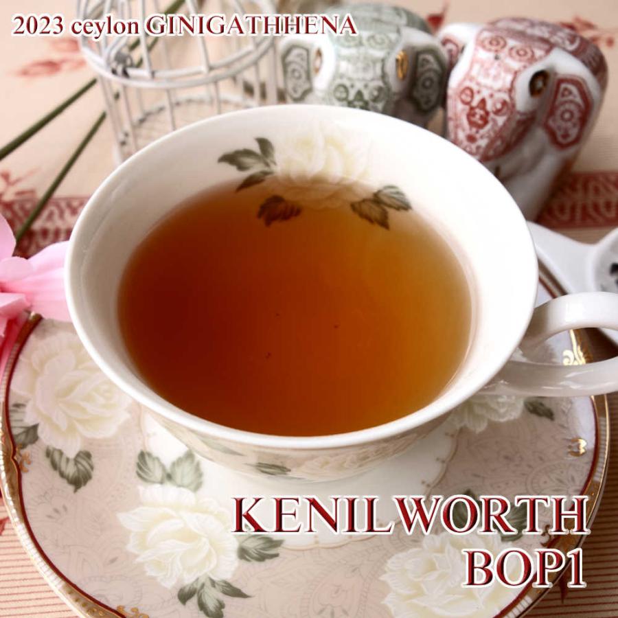 紅茶 ティーバッグ 20個 ジニガテーナ ケニルワース茶園 BOP1/2023 50g 茶葉 リーフ｜teachaichai｜02