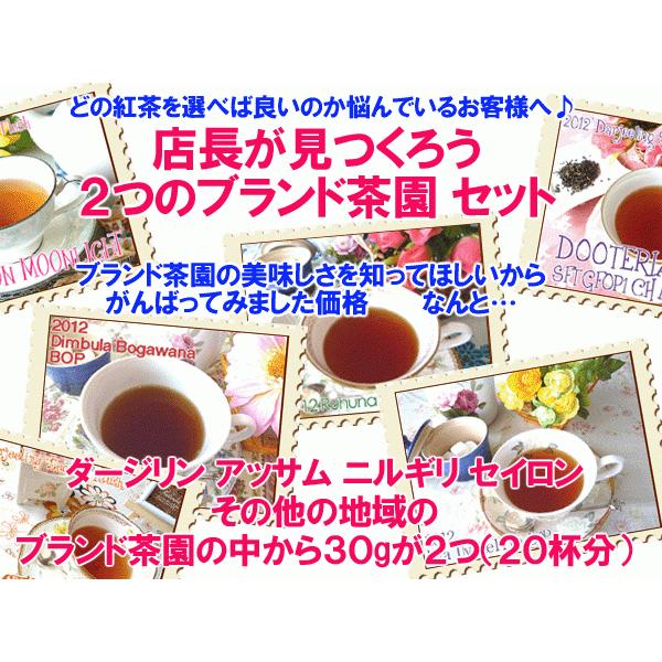 紅茶 セット 店長が見つくろう２つのブランド茶園 セット｜teachaichai｜02