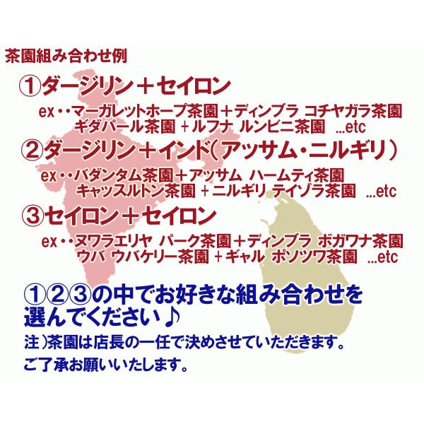 紅茶 セット 店長が見つくろう２つのブランド茶園 セット｜teachaichai｜07