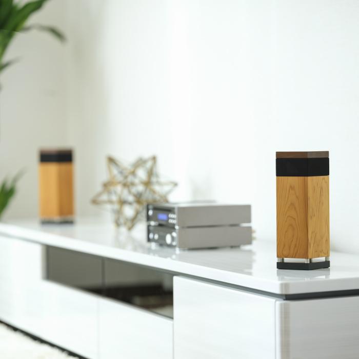 ★11時間以内発送★美品 【お取り寄せ商品】LIGNOaudio 五角形 無指向性 パッシブスピーカー SP-50SS(ペア) 【WS4501752572】(163350円)