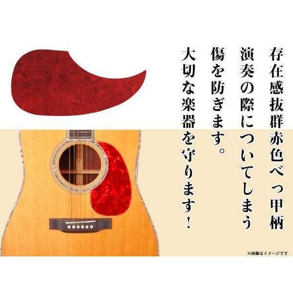 レア品】pro martin w-35 アコースティックギター ピックガード付レア