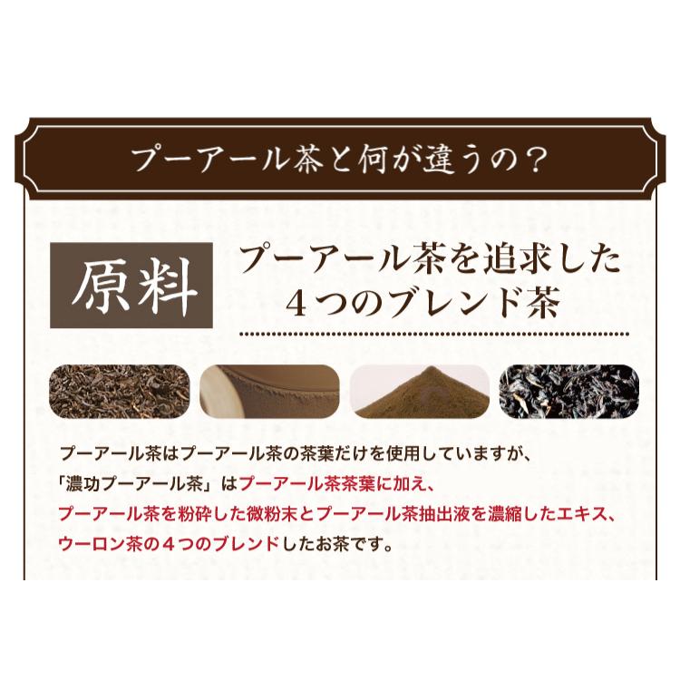 TeaLife（ティーライフ） プーアール茶 プーアル茶 濃功プーアール茶