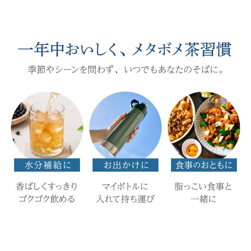 TeaLife（ティーライフ） 健康茶 黒豆茶 水出し 濃いメタボメ茶 1