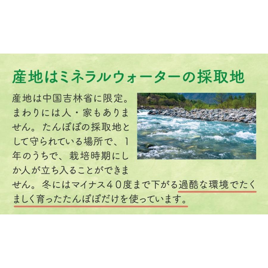 たんぽぽ茶 タンポポ茶 ノンカフェイン お茶 飲み物 ポット用30個入 ティーバッグ 母乳 育児 妊婦 授乳 ママ 鉄分 マタニティー 送料無料｜tealife｜11