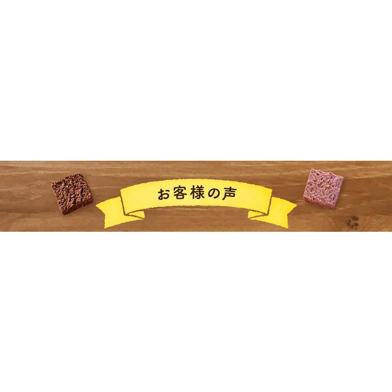 TeaLife（ティーライフ） おからクッキー 訳あり 大量 1kg お豆腐屋