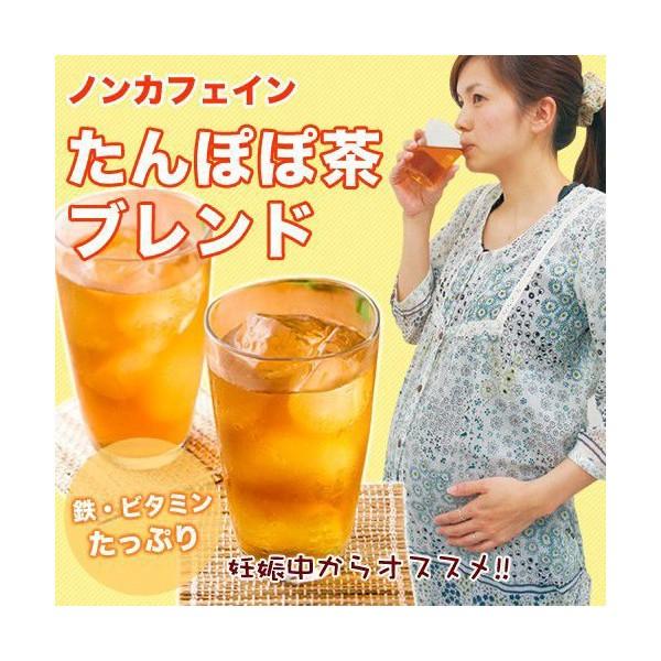 たんぽぽ茶 タンポポ茶 ノンカフェイン お茶 飲み物 お試し ポット用5個入 ティーバッグ 母乳 育児 妊婦 授乳 ママ 鉄分 マタニティー