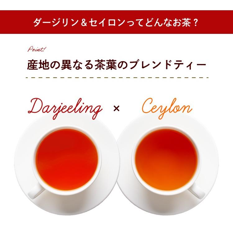 最大58%OFFクーポン 紅茶 ティーバッグ ギフト ダージリン セイロン 水出し 100個入 ×3袋 お茶 紅茶パック ティーパック まとめ買い  大容量 業務用 送料無料