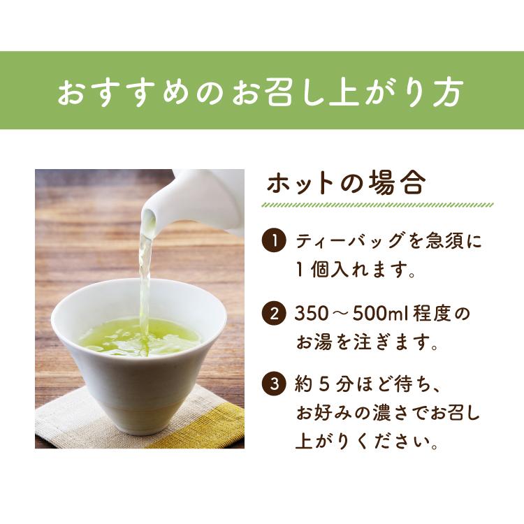 TeaLife お茶 緑茶 水出し緑茶 ティーバッグ 静岡茶 大容量 お得 TeaLife お茶 緑茶 水出し緑茶 ティーバッグ 静岡茶 大容量 お得