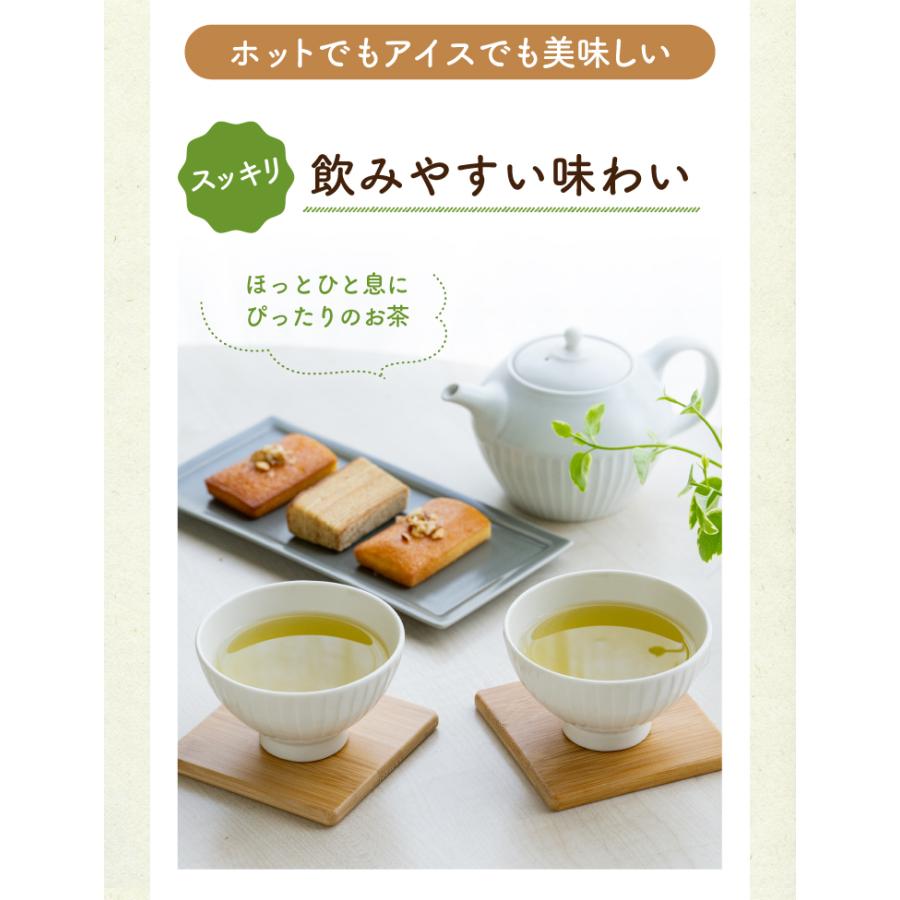 TeaLife お茶 緑茶 水出し緑茶 ティーバッグ 静岡茶 大容量 お得 TeaLife お茶 緑茶 水出し緑茶 ティーバッグ 静岡茶 大容量 お得