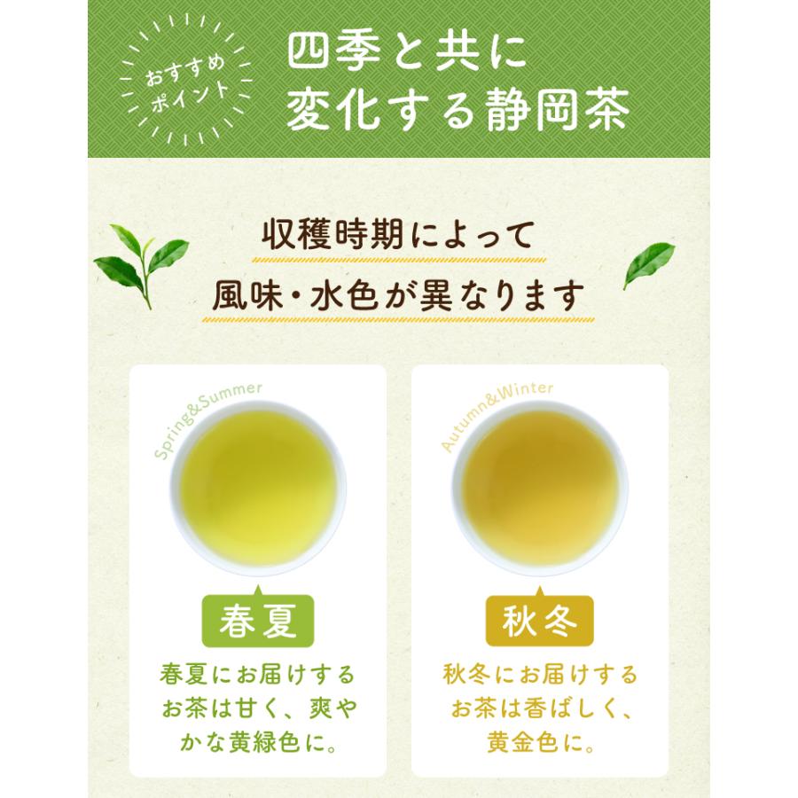 お茶 緑茶 水出し緑茶 ティーバッグ 静岡茶 大容量 お得 100個入 茶葉 まかない茶 お茶 緑茶パック送料無料 父の日 2026 | TeaLife | 06