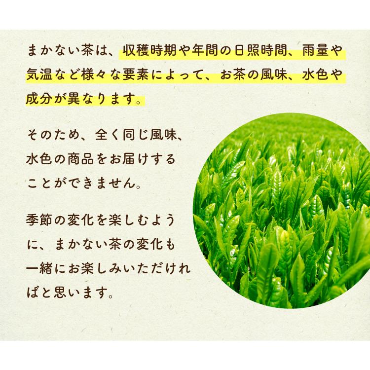 お茶 緑茶 水出し緑茶 ティーバッグ 静岡茶 大容量 お得 100個入 茶葉 まかない茶 お茶 緑茶パック送料無料 父の日 2026 | TeaLife | 07