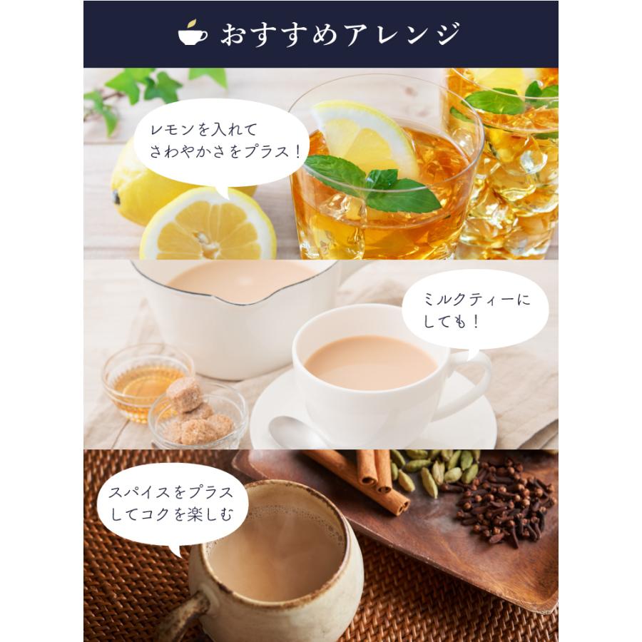 TeaLife（ティーライフ） 紅茶 ティーバッグ 100個入 水出し ギフト