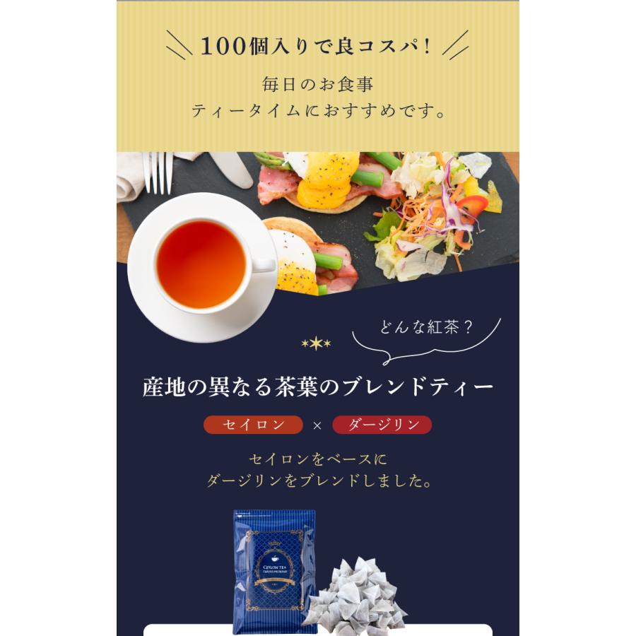 TeaLife（ティーライフ） 紅茶 ティーバッグ 100個入 水出し ギフト