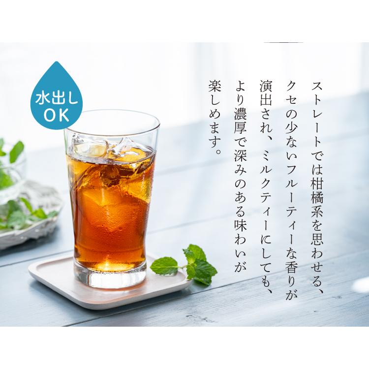 紅茶 ティーバッグ 100個入 水出し ギフト ダージリン セイロン &times;3 お茶 セイロンティーダージリンブレンド 送料無料