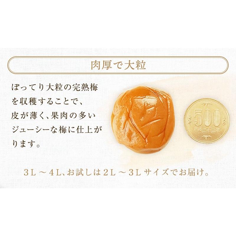 梅干し 訳あり 送料無料 はちみつ 南高梅 紀州の梅 みつまろ お試し 240g お試しサイズ 塩分 お試しセット はちみつ梅 うめぼし はちみつ漬け 画像｜tealife｜07