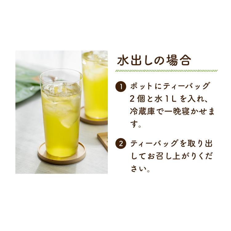 TeaLife（ティーライフ） お茶 緑茶 水出し緑茶 ティーバッグ 静岡茶