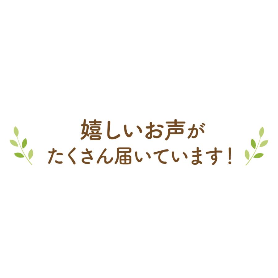 業務用 ノンカフェイン どくだみたんぽぽ茶 30個入×10袋 送料無料 タンポポ茶 どくだみ茶 どくだみ 母乳 妊活 妊婦 授乳 ママ  鉄分 マタニティー　｜tealife｜18