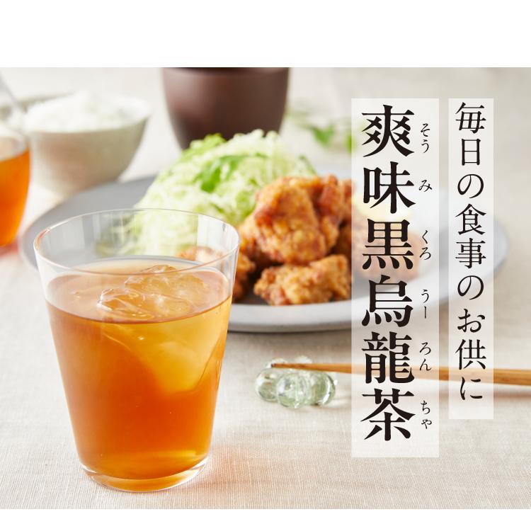 TeaLife（ティーライフ） 爽味黒烏龍茶 ポット用30個入×3袋 ( 黒