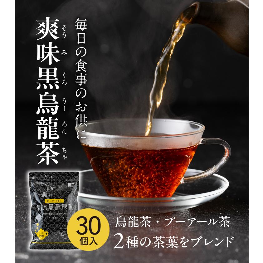 TeaLife（ティーライフ） 爽味黒烏龍茶 ポット用30個入×3袋 ( 黒