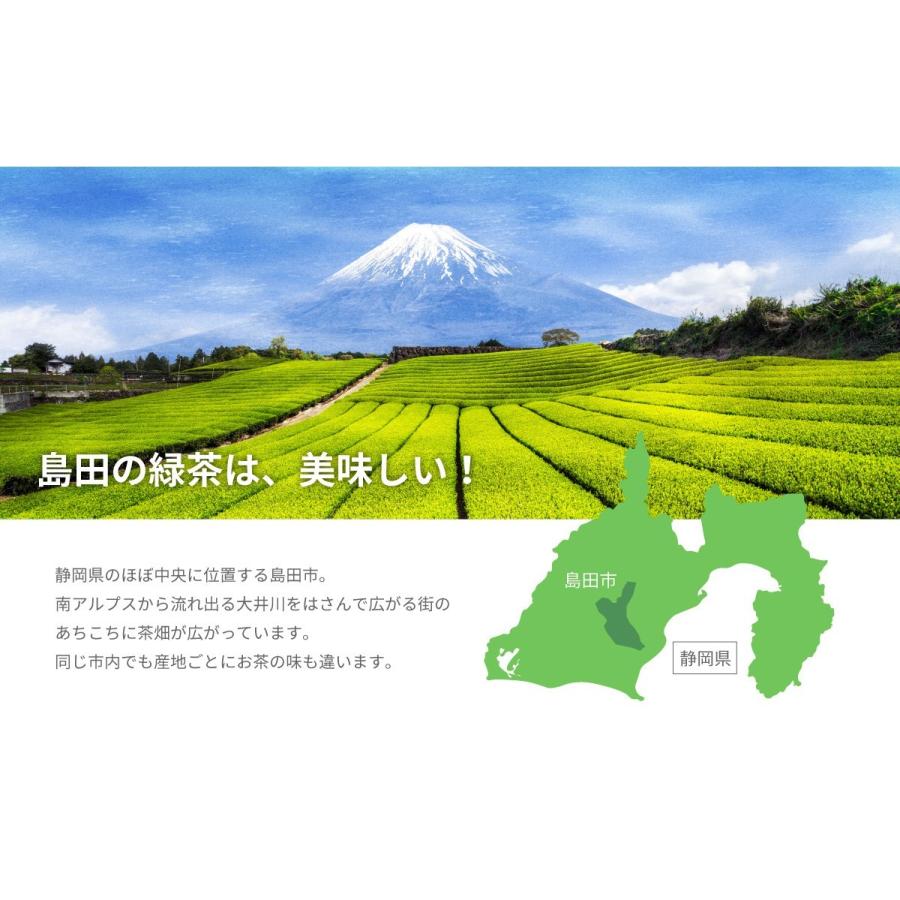 母の日 ギフト プレゼント 2026 緑茶 お茶 ギフト プレゼント 静岡茶 日本茶 リーフ 茶葉 高級 ギフト プレゼント GreenCi-Tea Vol.１ （グリーンシティ） | TeaLife | 05