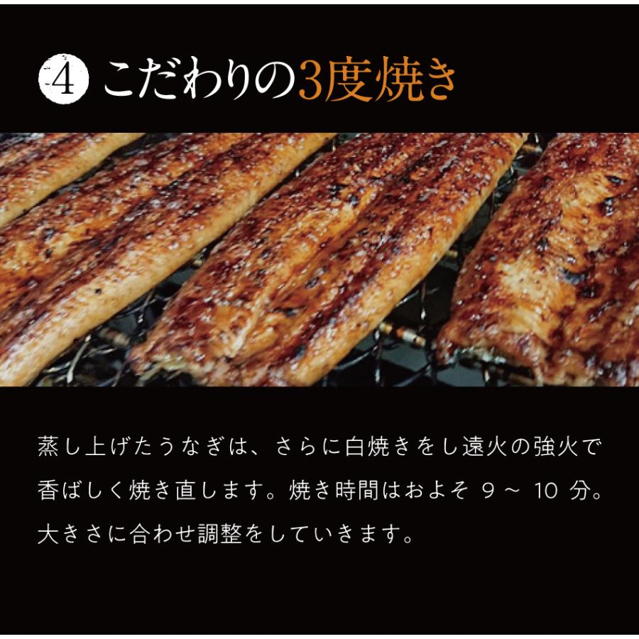 父の日 プレゼント 2024 鰻 うなぎ 国産 深蒸し鰻 2尾 鰻 うな姫 ウナギ 愛知県 三河 180g 2人前 40代 50代 60代 70代 80代｜tealife｜12