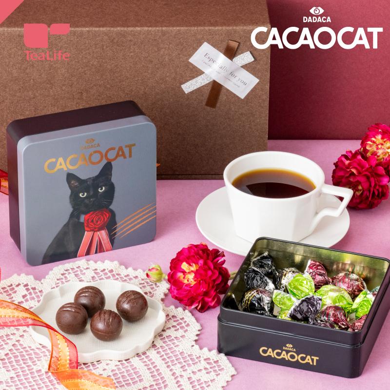 チョコレート ギフト CACAOCAT カカオキャット プレミアム