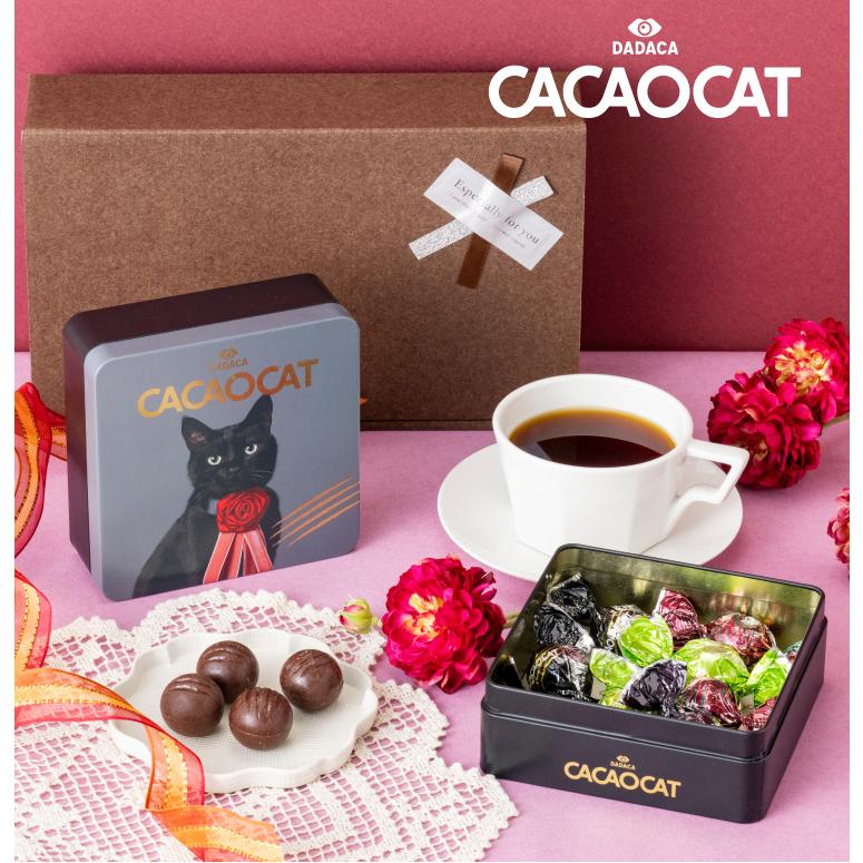 チョコレート ギフト CACAOCAT カカオキャット プレミアム