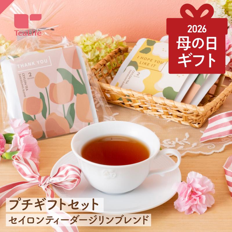 母の日 ギフト プレゼント 2026 紅茶 ティーバッグ 水出し プチギフト ダージリン セイロン お茶 セイロンティーダージリンブレンド 2個入×2 送料無料（Yahoo!・ティーライフshop 健康茶自然食品）