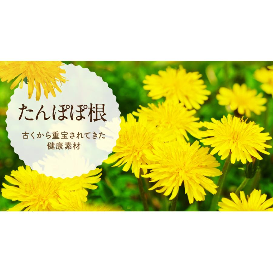 まとめ買い たんぽぽコーヒー ぽぽたん カップ用30個入 5袋 タンポポコーヒー ノンカフェイン ティーバッグ 母乳 育児 妊婦 授乳 ママ マタニティー 送料無料 R22 ティーライフshop 健康茶自然食品 通販 Yahoo ショッピング