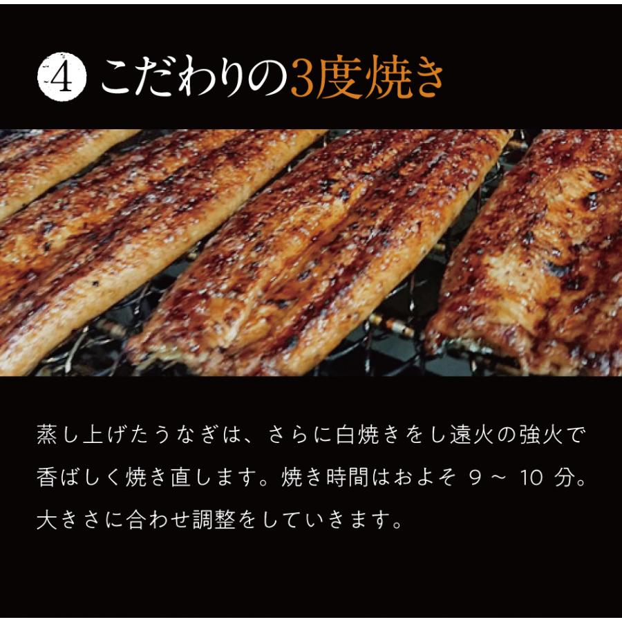 ギフト プレゼント うなぎ 鰻 国産 鰻蒲焼き 高級 愛知県 三河うな姫 ウナギ ギフト プレゼント60代 80代 70代 90代 深蒸し鰻 160g 2尾 |  | 10