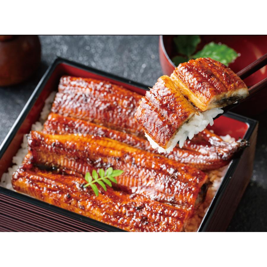 ギフト プレゼント うなぎ 鰻 国産 鰻蒲焼き 高級 愛知県 三河うな姫 ウナギ ギフト プレゼント60代 80代 70代 90代 深蒸し鰻 160g 2尾 |  | 11