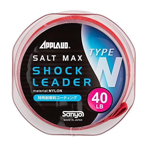 今日の超目玉 ソルトマックス アプロード ショックリーダー サンヨーナイロン ショックリーダー ナチュラルクリアー 0lb 50m ナイロン タイプn 釣り糸 ライン Www We Job Com