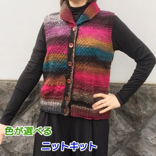 野呂英作 野呂英作の毛糸・くれよんで編むカウチン風のベスト セット 