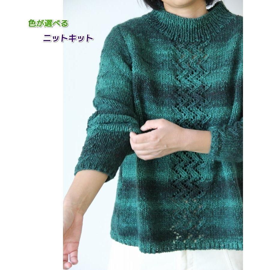 高級感 編み針セット 野呂英作のこもれびで編むセーター 手編みキット 編みものキット 編み図 最安 Kwsrbd Com
