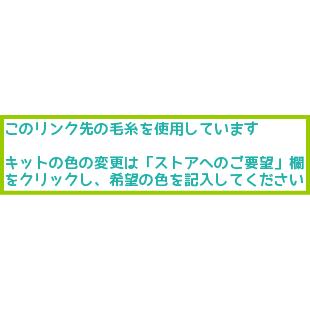 ●編み針セット 毛糸 野呂英作のくれよんで編む超ゆったりベスト 無料編み図 編み物キット_2