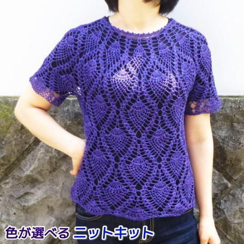 人気特価激安 ナンテンで編むパイナップル模様のサマーセーター 手編みキット エクトリー 無料編み図 編みものキット 新規購入 Www Softservo Co Jp
