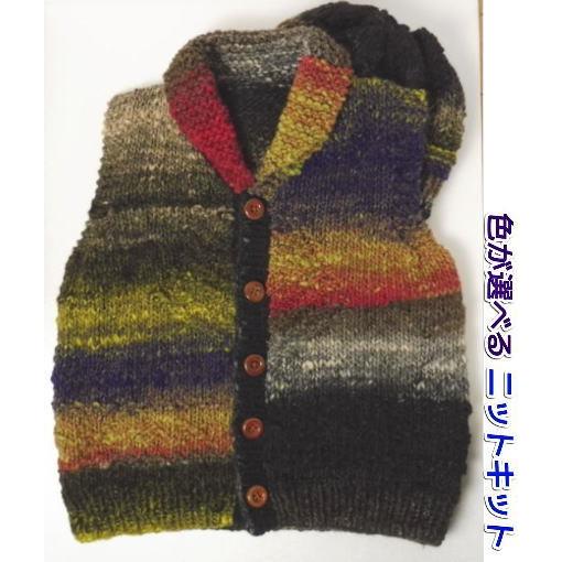 編み針セット 野呂英作のくれよんで編むキッズ用カウチン風ベスト 帽子付き 子供用100cm 手編みキット 編み図