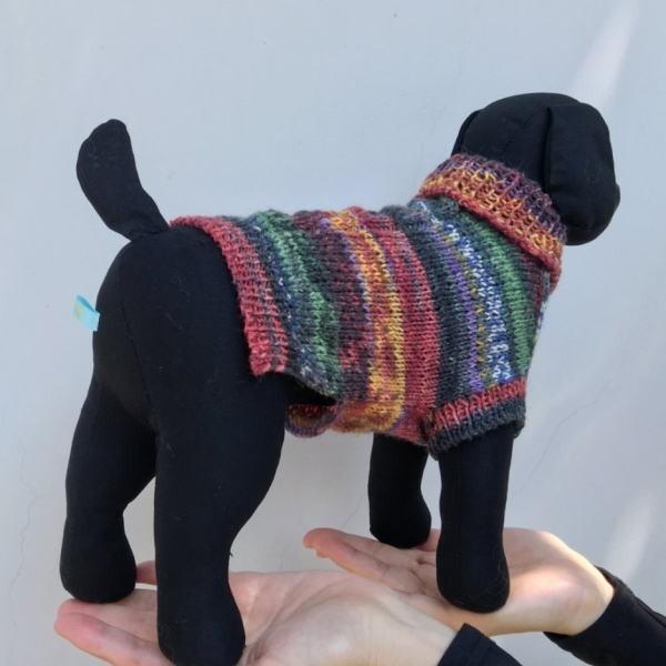 編み物キット 犬の服 オパール毛糸で編む小型犬用ドッグウェア Opal