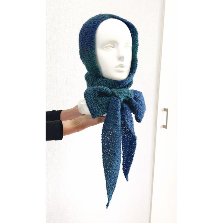 RichMore ○編み針セット 毛糸 アルパカレジェーログラデーションで