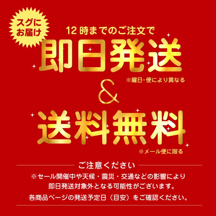 TeAmo カラコン ワンデー 送料無料 1DAY 1箱10枚入 度あり 度なし 