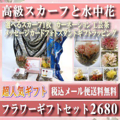 カーネーション 水中工芸茶花 と高級スカーフのギフトセット 期間限定2680円メール便で送料無料 母の日 春 結婚式 H1 004 直輸入特選ショップ ティーナ 通販 Yahoo ショッピング