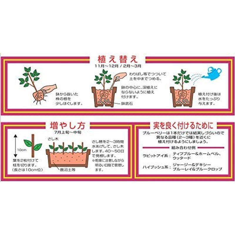 無料長期保証 平和 ブルーベリーの培養土 25リットル Discoversvg Com